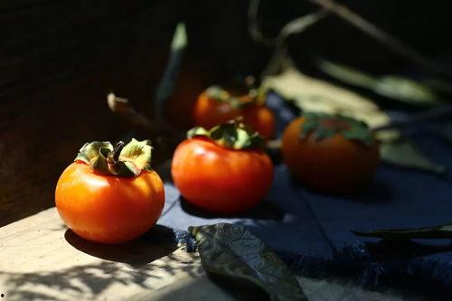柳州喜柿吃瓜,探寻地方特色美食之旅