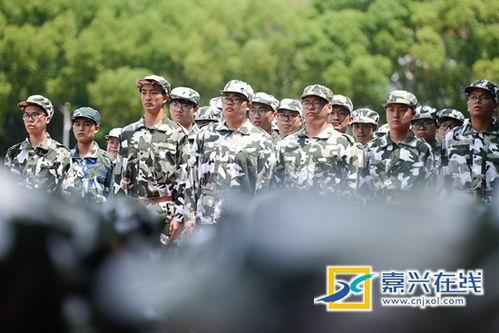 军训吃瓜知乎,揭秘军营中的“吃瓜”风云