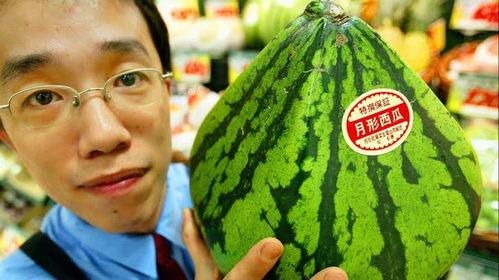 韩国吃瓜小品,揭秘吃瓜小品的幕后故事