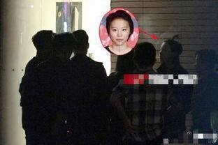 王菲谢霆锋吃瓜,娱乐圈再掀甜蜜风暴