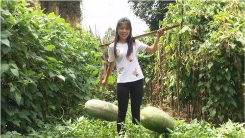 秧田吃瓜怎么拍照好看,捕捉夏日田园摄影美学