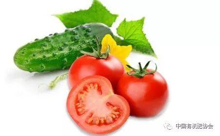 吃瓜文番茄推荐,那些你不知道的吃瓜幕后故事