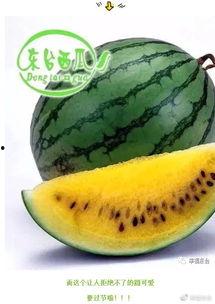 全网最全最新吃瓜,揭秘娱乐圈幕后真相，热点事件深度解析！