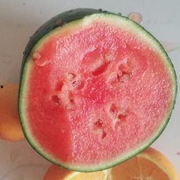 沈丘吃瓜视频,揭秘当地特色美食背后的故事