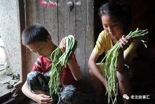 越南姐弟吃瓜视频,揭秘街头趣闻，笑料连连