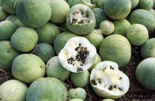 吃瓜的由来简介,揭秘网络热词背后的文化现象