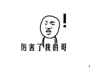 吃瓜群众打老板,揭秘老板的职场风云