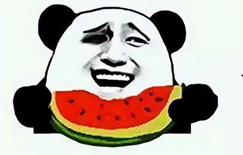 吃瓜群众打老板,揭秘老板的职场风云