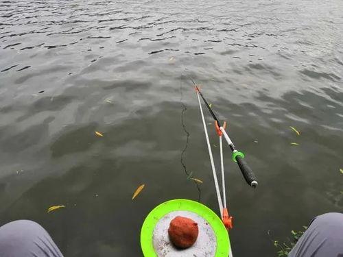 鲫瓜浮漂吃铅,揭秘精准钓鱼的奥秘