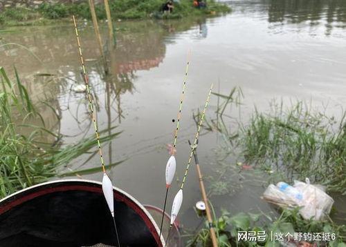 鲫瓜浮漂吃铅,揭秘精准钓鱼的奥秘