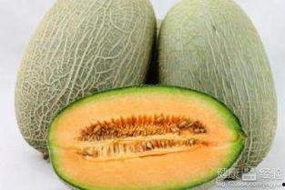 雅吃哈密瓜,品味新疆甜蜜诱惑