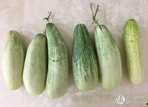 吃瓜人的吃瓜经历,一场吃瓜人的奇妙经历