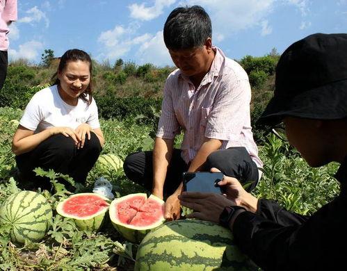 贵州的吃瓜群众,贵州“吃瓜群众”的麻辣生活