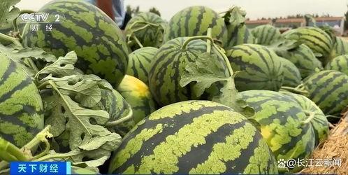 吃瓜黄金验真假