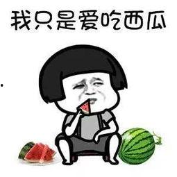 吃瓜都有什么圈,探寻网络热议背后的趣味与真相