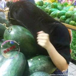 吃瓜都有什么圈,探寻网络热议背后的趣味与真相