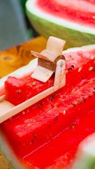 手工耿吃瓜,揭秘民间工匠的趣味生活