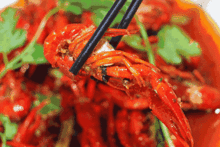 吃龙虾吃瓜,一场味蕾的狂欢之旅