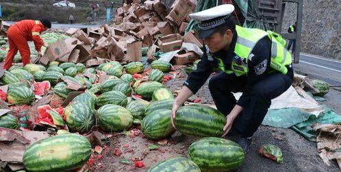 瓜碎了一地淡定吃瓜,一场别开生面的“瓜界盛宴”