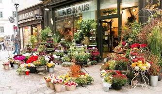 花店老板吃瓜下载,揭秘花店背后的趣味故事