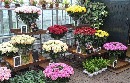 花店老板吃瓜下载,揭秘花店背后的趣味故事