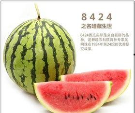 中国女吃瓜,揭秘网络时代的社交现象