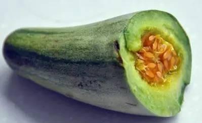 吃牛角瓜会瘦吗,揭秘吃牛角瓜真的能减肥吗？