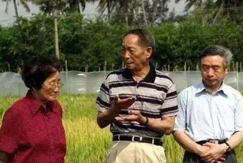 王老湿吃瓜,揭秘娱乐圈幕后故事